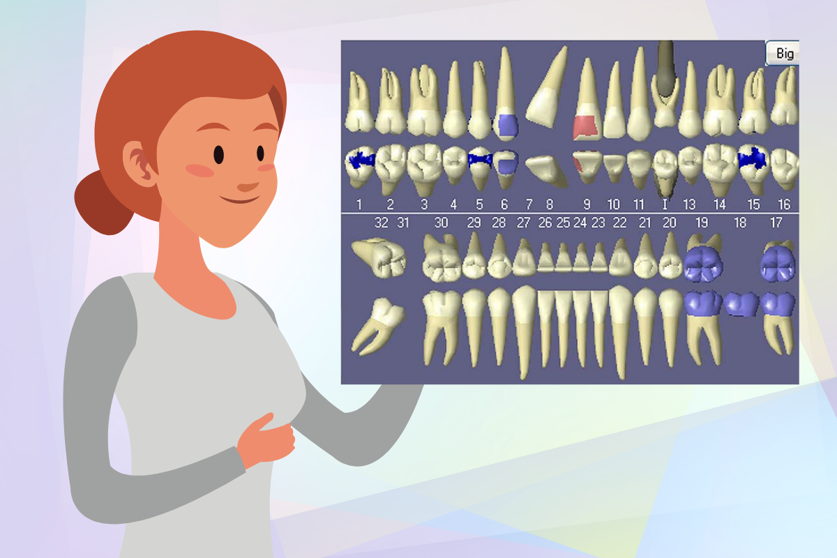 woman demonstrating 3-d graphical tooth chart