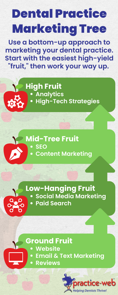 Dental Practice Marketing Tree Infographic